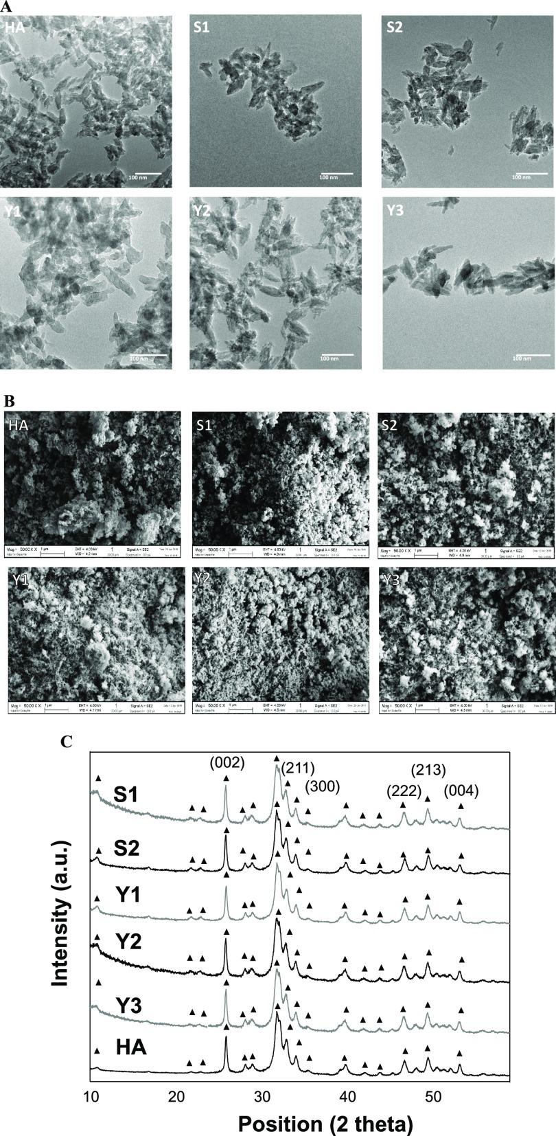 https://cdn.ncbi.nlm.nih.gov/pmc/blobs/b2b7/7114695/702ac9f5eaa2/ao9b04354_0003.jpg