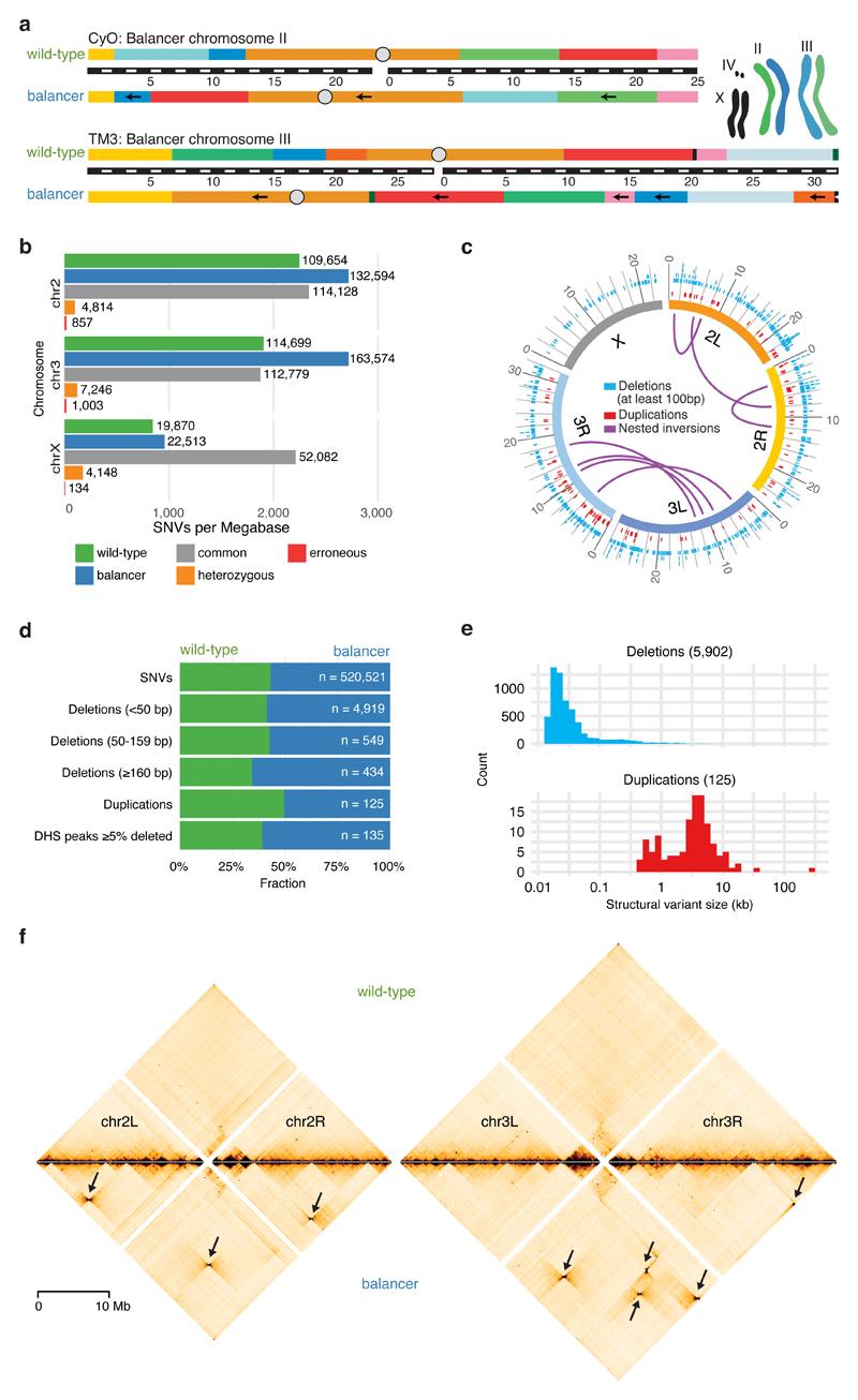 https://cdn.ncbi.nlm.nih.gov/pmc/blobs/b2b7/7116017/7d89a86e1c05/EMS83305-f001.jpg