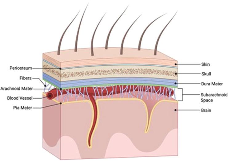 https://cdn.ncbi.nlm.nih.gov/pmc/blobs/b2be/12391603/5d0cad5ca663/gr1.jpg