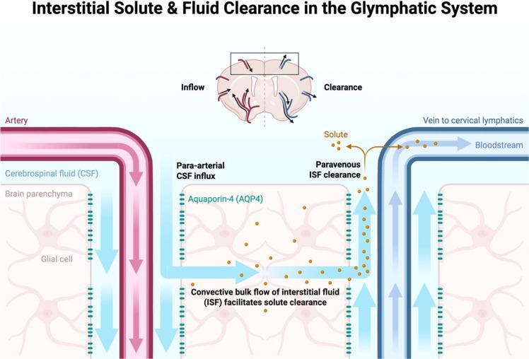 https://cdn.ncbi.nlm.nih.gov/pmc/blobs/b2be/12391603/63568b571708/gr2.jpg