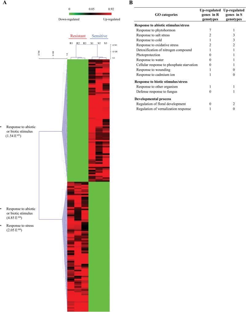 https://cdn.ncbi.nlm.nih.gov/pmc/blobs/b2be/4682430/4d632421a98e/exbotj_erv449_f0002.jpg