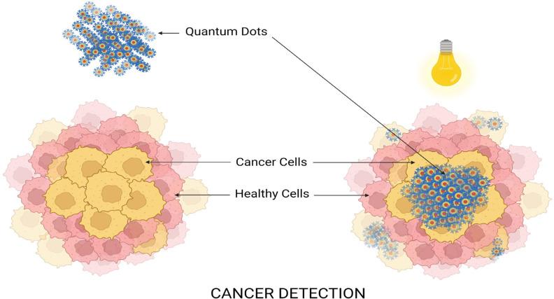 https://cdn.ncbi.nlm.nih.gov/pmc/blobs/b2bf/11152399/47990eaa2257/APJCP-25-747-g003.jpg