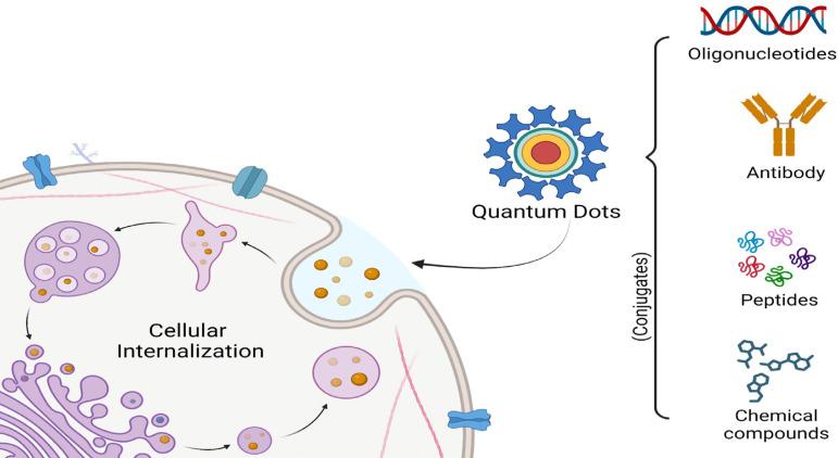 https://cdn.ncbi.nlm.nih.gov/pmc/blobs/b2bf/11152399/d9f8fe660eee/APJCP-25-747-g004.jpg