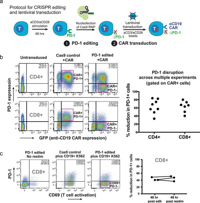 https://cdn.ncbi.nlm.nih.gov/pmc/blobs/b2c0/5428439/a31c2caabed9/41598_2017_462_Fig2_HTML.jpg