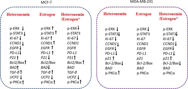 https://cdn.ncbi.nlm.nih.gov/pmc/blobs/b2c1/8350732/9a75babc4519/fcell-09-688607-g007.jpg