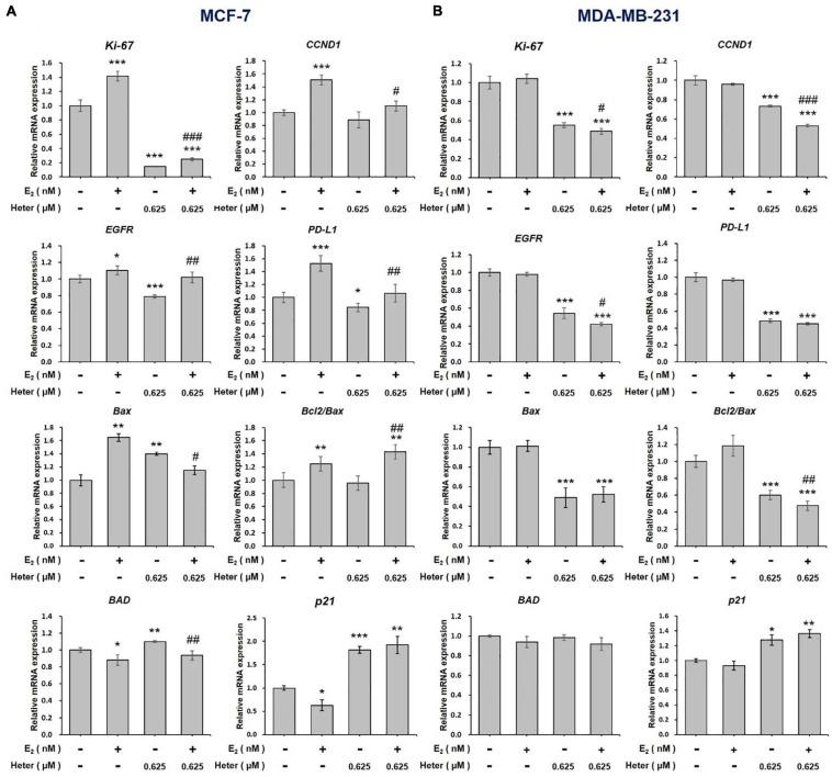 https://cdn.ncbi.nlm.nih.gov/pmc/blobs/b2c1/8350732/a072e6fbefca/fcell-09-688607-g003.jpg