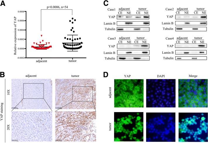 https://cdn.ncbi.nlm.nih.gov/pmc/blobs/b2c2/6123950/263a2b07b623/13046_2018_892_Fig1_HTML.jpg