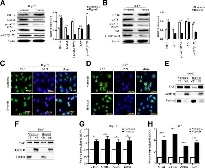 https://cdn.ncbi.nlm.nih.gov/pmc/blobs/b2c2/6123950/5346fdfaeae0/13046_2018_892_Fig3_HTML.jpg