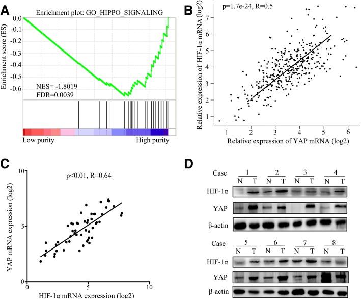 https://cdn.ncbi.nlm.nih.gov/pmc/blobs/b2c2/6123950/b3cb13ed7e52/13046_2018_892_Fig2_HTML.jpg