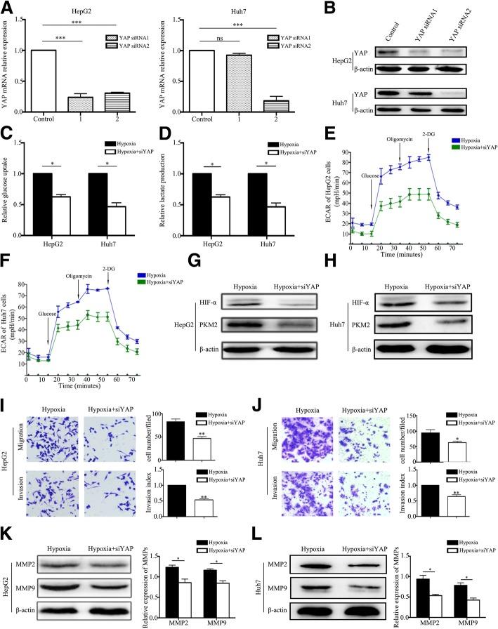 https://cdn.ncbi.nlm.nih.gov/pmc/blobs/b2c2/6123950/ed392416a9f3/13046_2018_892_Fig5_HTML.jpg