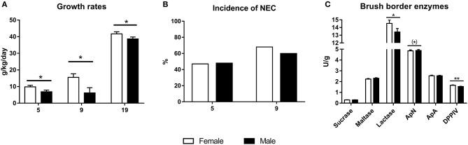 https://cdn.ncbi.nlm.nih.gov/pmc/blobs/b2c2/7905020/c0e57e55ebfb/fped-09-626101-g0004.jpg