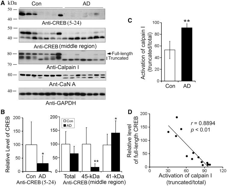 https://cdn.ncbi.nlm.nih.gov/pmc/blobs/b2c3/3597642/7fffe9e93b4f/gks1227f5p.jpg