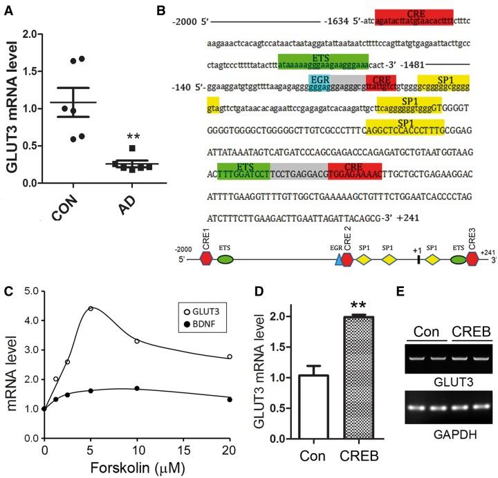 https://cdn.ncbi.nlm.nih.gov/pmc/blobs/b2c3/3597642/d44a035d03e5/gks1227f1p.jpg