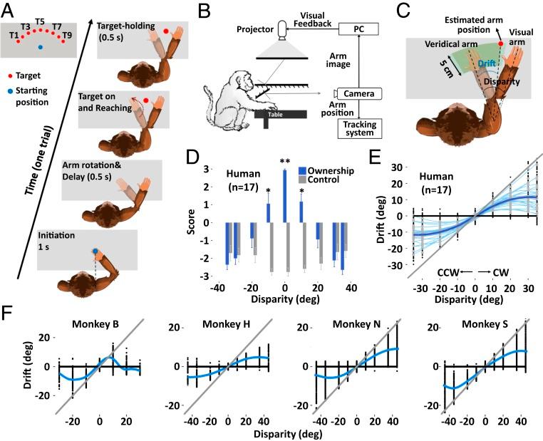 https://cdn.ncbi.nlm.nih.gov/pmc/blobs/b2c4/6778219/bf0ec8f8e667/pnas.1902334116fig01.jpg