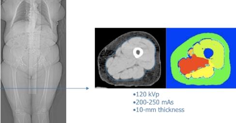 https://cdn.ncbi.nlm.nih.gov/pmc/blobs/b2c6/2832869/bfae93c09166/198_2009_1059_Fig4_HTML.jpg