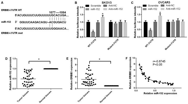 https://cdn.ncbi.nlm.nih.gov/pmc/blobs/b2c6/5819930/304b9961d8af/IJMM-41-03-1529-g01.jpg
