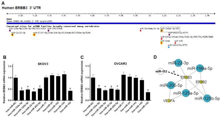 https://cdn.ncbi.nlm.nih.gov/pmc/blobs/b2c6/5819930/b1acb05bebd3/IJMM-41-03-1529-g00.jpg