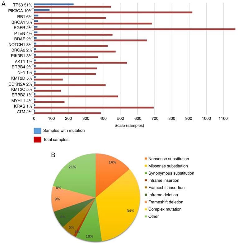 https://cdn.ncbi.nlm.nih.gov/pmc/blobs/b2c6/8114477/ce925cbc63a4/ol-22-01-12773-g01.jpg