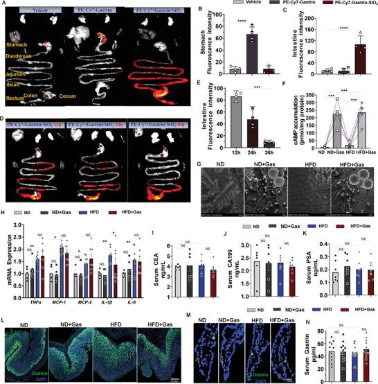 https://cdn.ncbi.nlm.nih.gov/pmc/blobs/b2c7/11967862/e6359dfafd8b/ADVS-12-2410032-g002.jpg