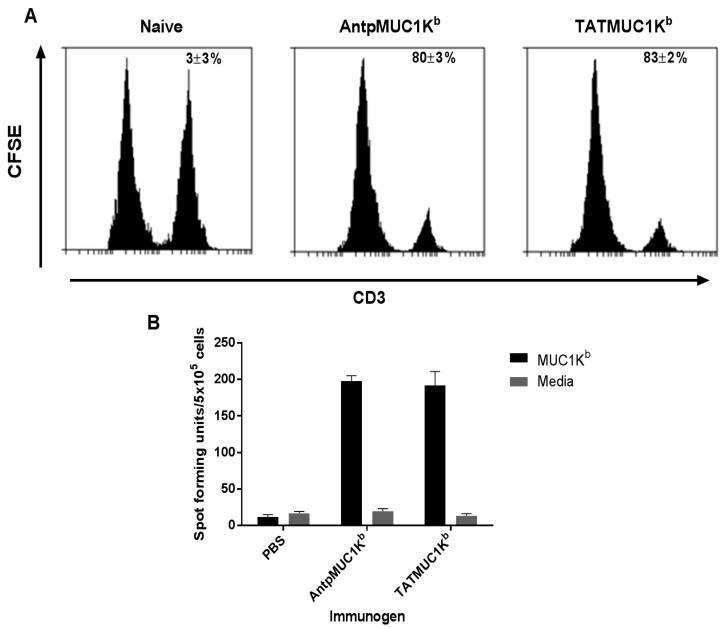 https://cdn.ncbi.nlm.nih.gov/pmc/blobs/b2c7/6332296/381a926d933e/molecules-20-14033-g007.jpg