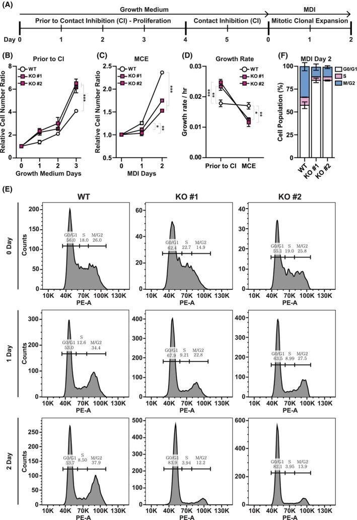 https://cdn.ncbi.nlm.nih.gov/pmc/blobs/b2c8/12326919/b663866bc305/FEBS-292-4018-g003.jpg