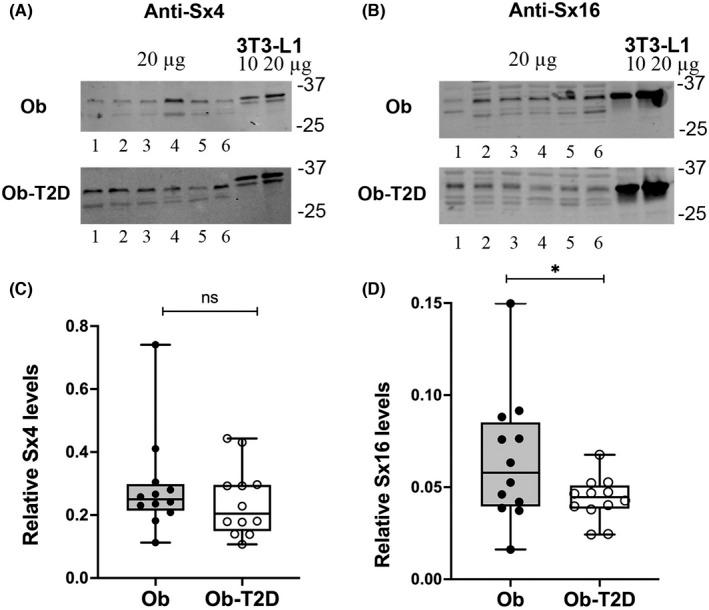 https://cdn.ncbi.nlm.nih.gov/pmc/blobs/b2c9/9471587/4e8c95468890/EDM2-5-e361-g002.jpg