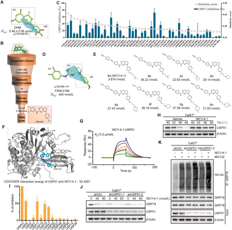 https://cdn.ncbi.nlm.nih.gov/pmc/blobs/b2cb/12144991/10ff3bb9e96c/gr8.jpg