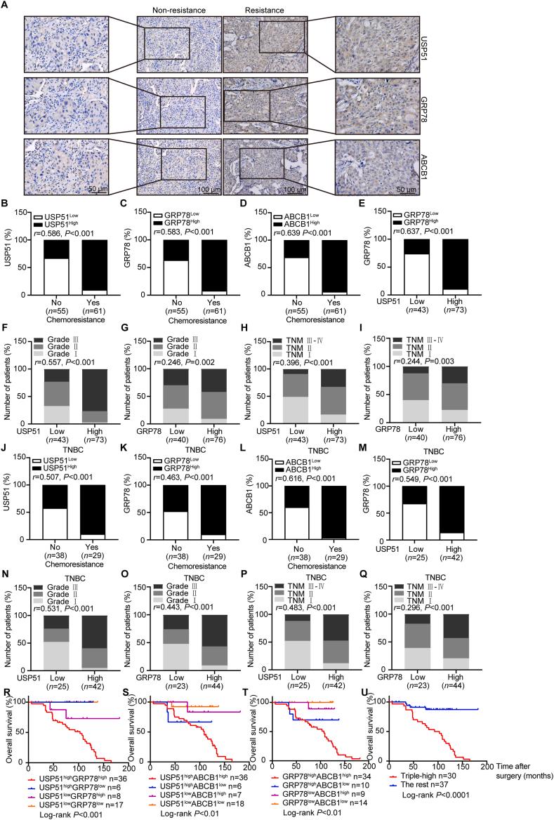 https://cdn.ncbi.nlm.nih.gov/pmc/blobs/b2cb/12144991/98ebefe568ce/gr7.jpg