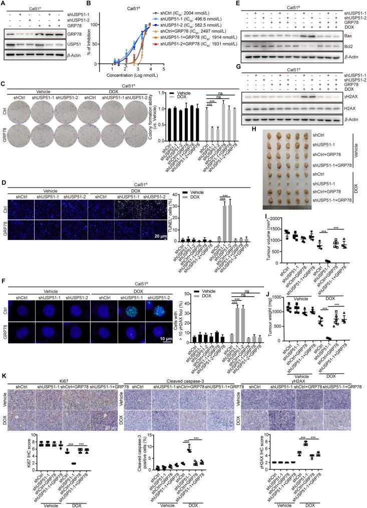 https://cdn.ncbi.nlm.nih.gov/pmc/blobs/b2cb/12144991/aea2aeebeb6a/gr5.jpg