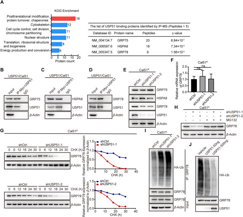 https://cdn.ncbi.nlm.nih.gov/pmc/blobs/b2cb/12144991/ecd6a6742ec1/gr3.jpg