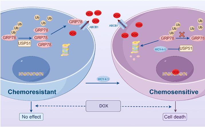 https://cdn.ncbi.nlm.nih.gov/pmc/blobs/b2cb/12144991/fa60a1eaf6c6/ga1.jpg