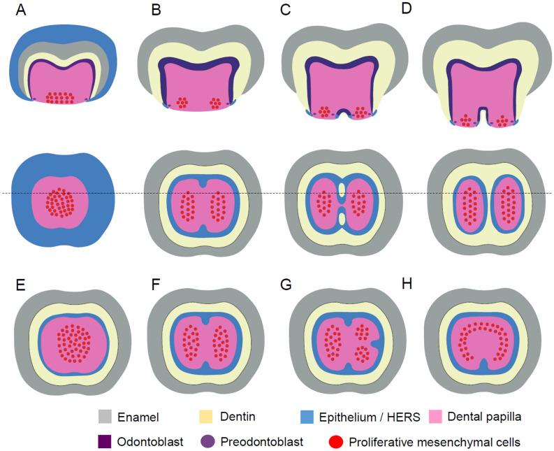 https://cdn.ncbi.nlm.nih.gov/pmc/blobs/b2cd/7933414/a56c967514d0/41598_2021_84653_Fig3_HTML.jpg