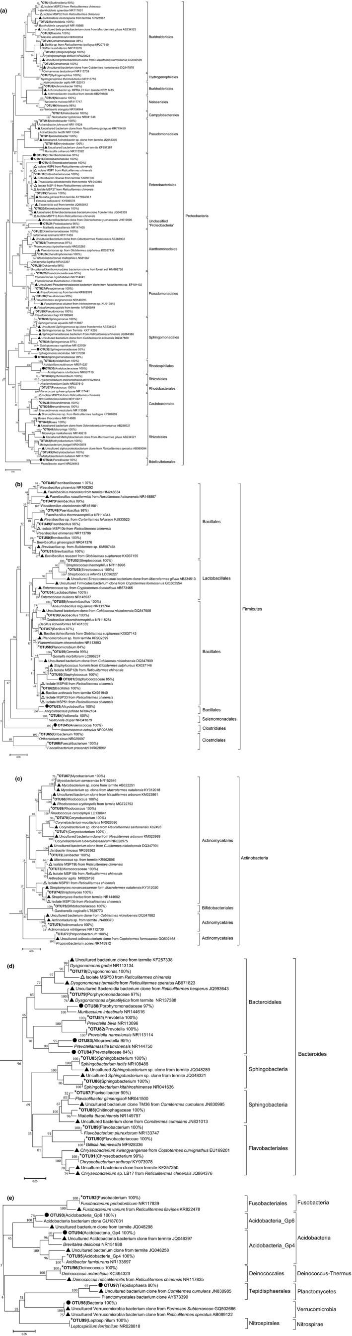 https://cdn.ncbi.nlm.nih.gov/pmc/blobs/b2ce/6436436/08cf95fe1100/MBO3-8-e00654-g003.jpg