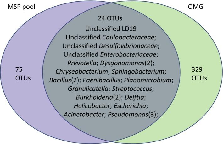 https://cdn.ncbi.nlm.nih.gov/pmc/blobs/b2ce/6436436/b9db6fec5641/MBO3-8-e00654-g002.jpg