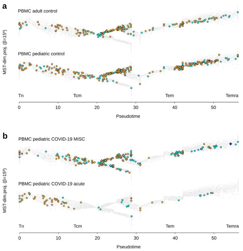 https://cdn.ncbi.nlm.nih.gov/pmc/blobs/b2ce/8623150/6eaa766b4279/viruses-13-02212-g004.jpg