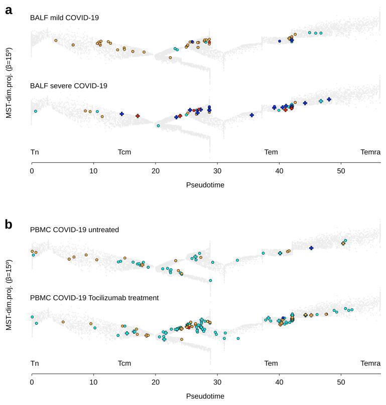 https://cdn.ncbi.nlm.nih.gov/pmc/blobs/b2ce/8623150/92efd304037e/viruses-13-02212-g003.jpg