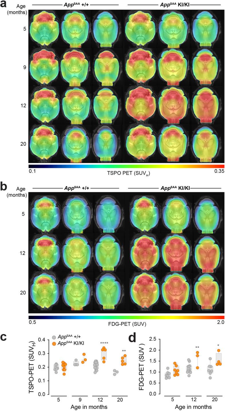 https://cdn.ncbi.nlm.nih.gov/pmc/blobs/b2ce/9188195/55466f0cadb0/13024_2022_547_Fig6_HTML.jpg