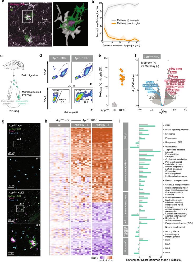 https://cdn.ncbi.nlm.nih.gov/pmc/blobs/b2ce/9188195/9853f3297db6/13024_2022_547_Fig4_HTML.jpg