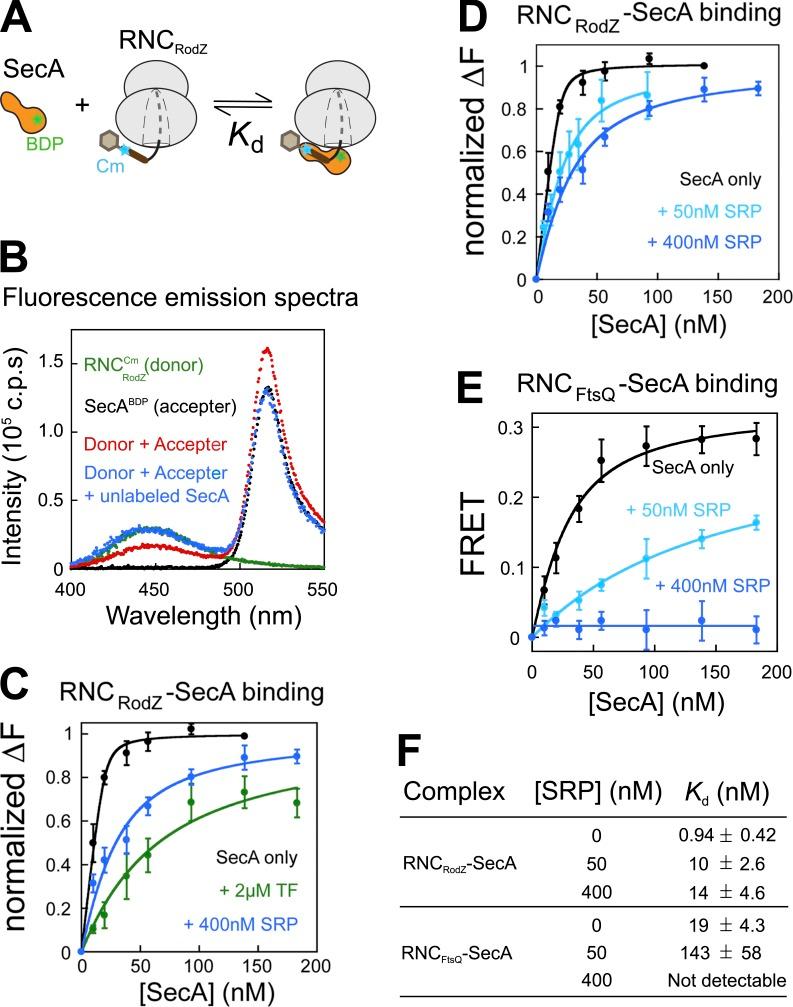 https://cdn.ncbi.nlm.nih.gov/pmc/blobs/b2d0/5674894/32aacb78e110/JCB_201704036_Fig1.jpg