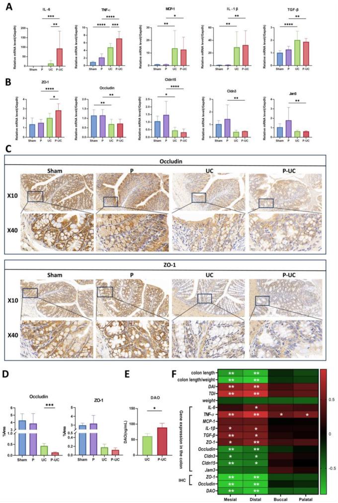 https://cdn.ncbi.nlm.nih.gov/pmc/blobs/b2d3/12135269/90ad5578d023/12903_2025_6269_Fig3_HTML.jpg