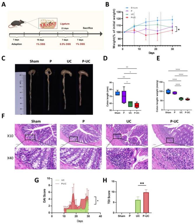 https://cdn.ncbi.nlm.nih.gov/pmc/blobs/b2d3/12135269/9548a231ca67/12903_2025_6269_Fig2_HTML.jpg
