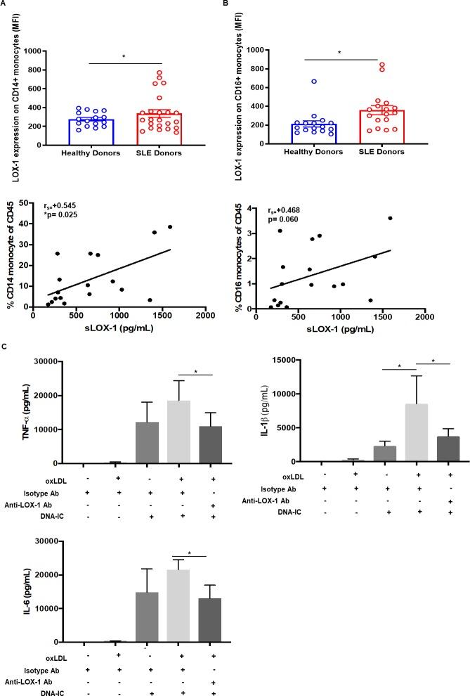 https://cdn.ncbi.nlm.nih.gov/pmc/blobs/b2d4/7077835/42c9cb556ce9/pone.0229184.g004.jpg
