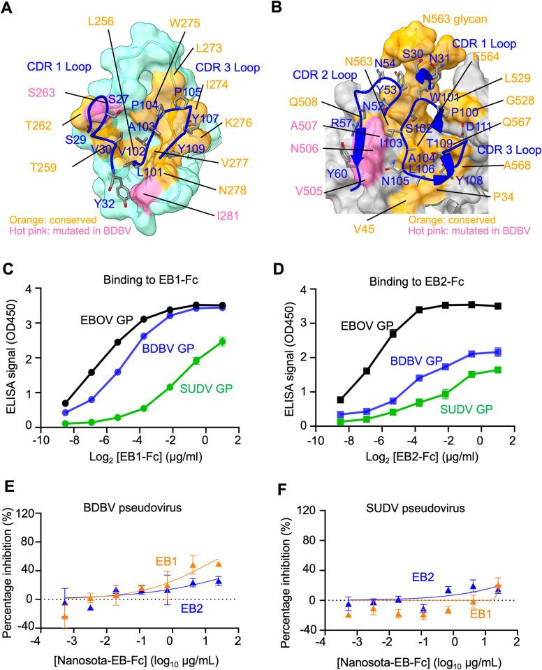 https://cdn.ncbi.nlm.nih.gov/pmc/blobs/b2d5/11723632/21e152ef850a/ppat.1012817.g005.jpg