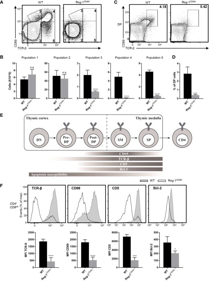 https://cdn.ncbi.nlm.nih.gov/pmc/blobs/b2d5/8297167/a0489da48d67/fimmu-12-682220-g006.jpg