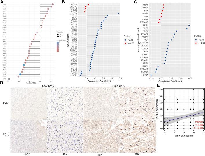 https://cdn.ncbi.nlm.nih.gov/pmc/blobs/b2d6/9334658/335d4ed0581f/fgene-13-899883-g008.jpg