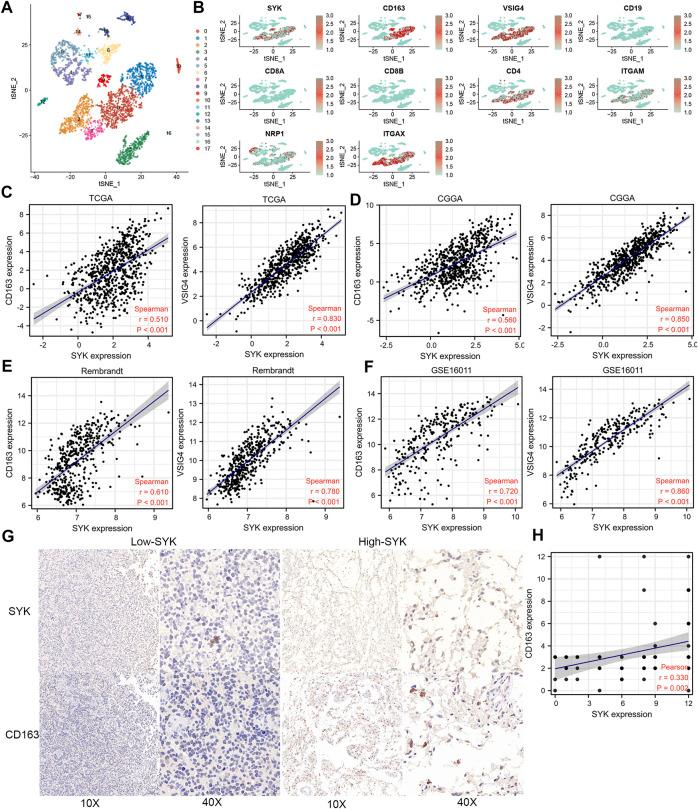 https://cdn.ncbi.nlm.nih.gov/pmc/blobs/b2d6/9334658/6b26a638749f/fgene-13-899883-g007.jpg