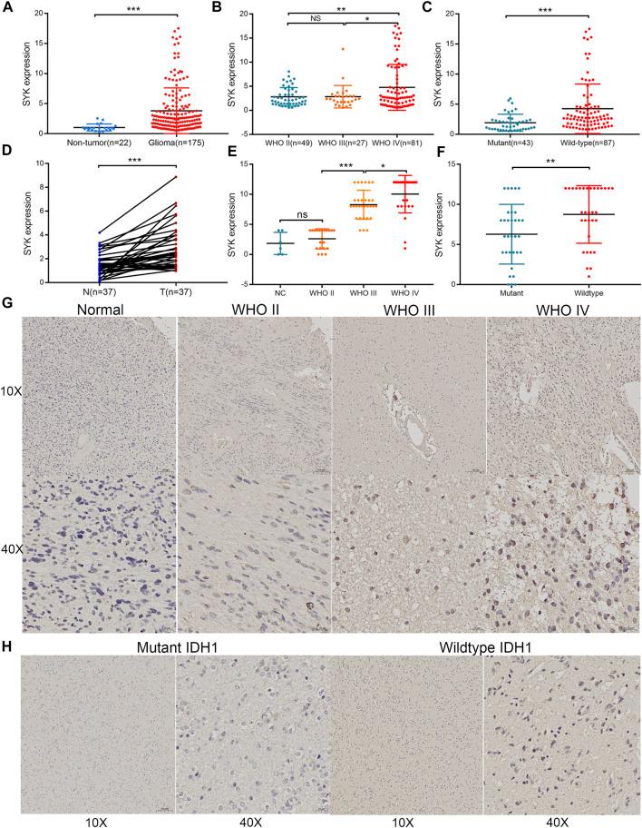 https://cdn.ncbi.nlm.nih.gov/pmc/blobs/b2d6/9334658/8d3ab2ca2a81/fgene-13-899883-g002.jpg