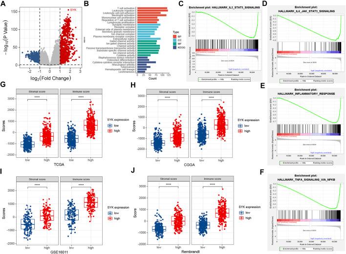 https://cdn.ncbi.nlm.nih.gov/pmc/blobs/b2d6/9334658/e0dce098f6f5/fgene-13-899883-g004.jpg