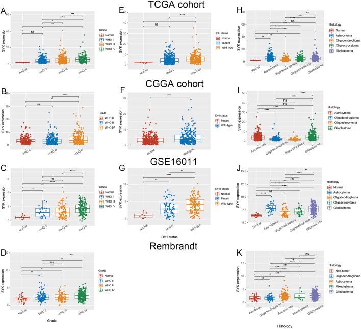 https://cdn.ncbi.nlm.nih.gov/pmc/blobs/b2d6/9334658/ea23fcd4b247/fgene-13-899883-g001.jpg
