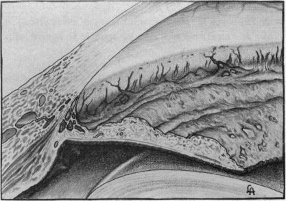 https://cdn.ncbi.nlm.nih.gov/pmc/blobs/b2da/1316379/4e5456af3186/taos00041-0316-a.jpg
